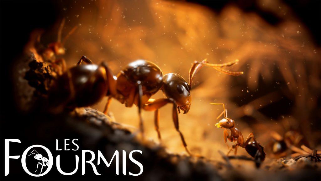 Fourmis