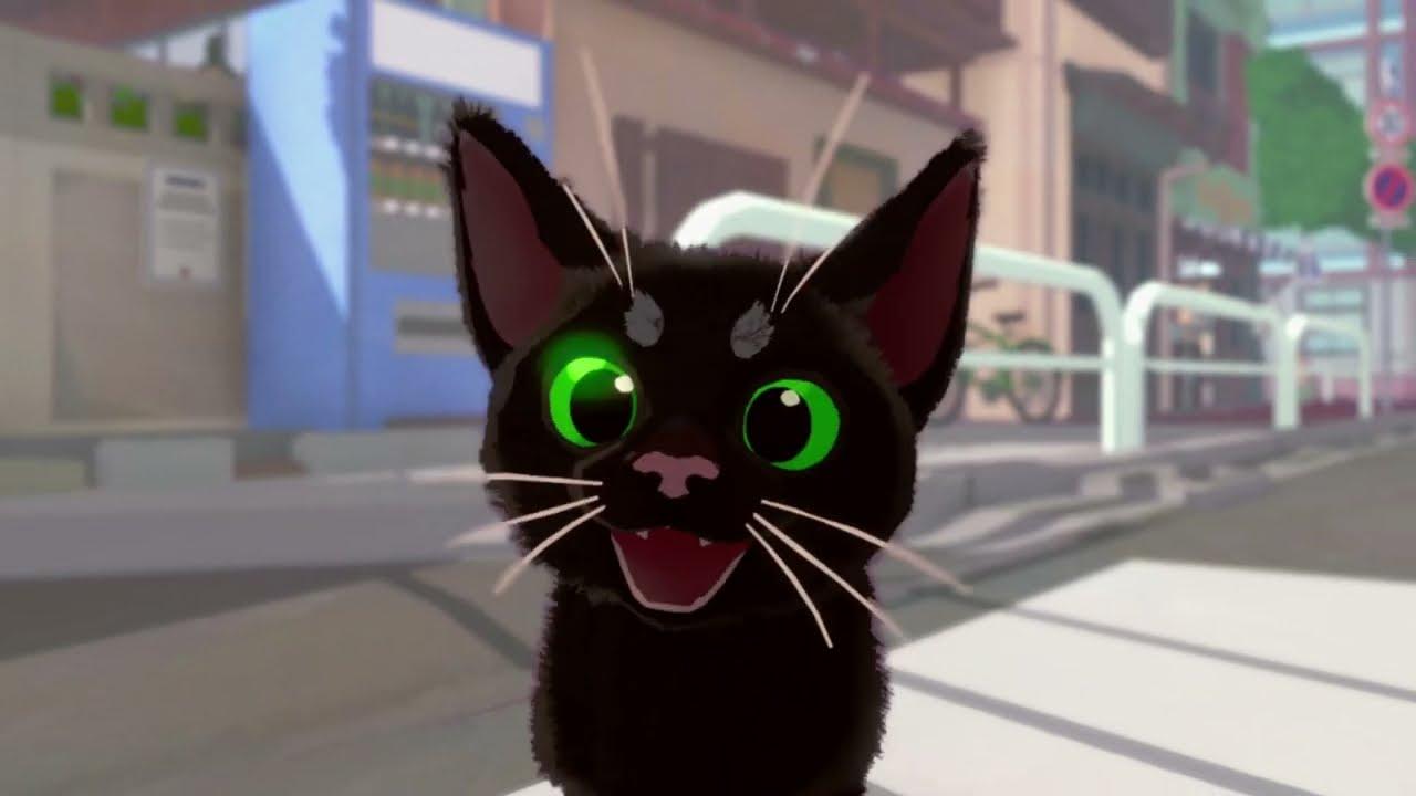 Little Kitty