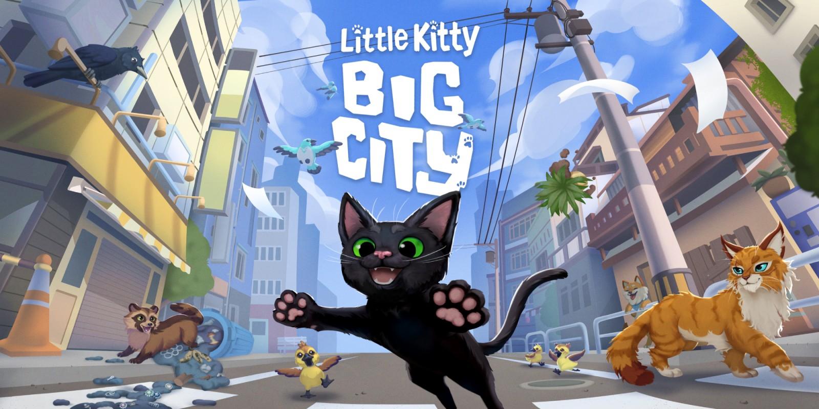 Little Kitty