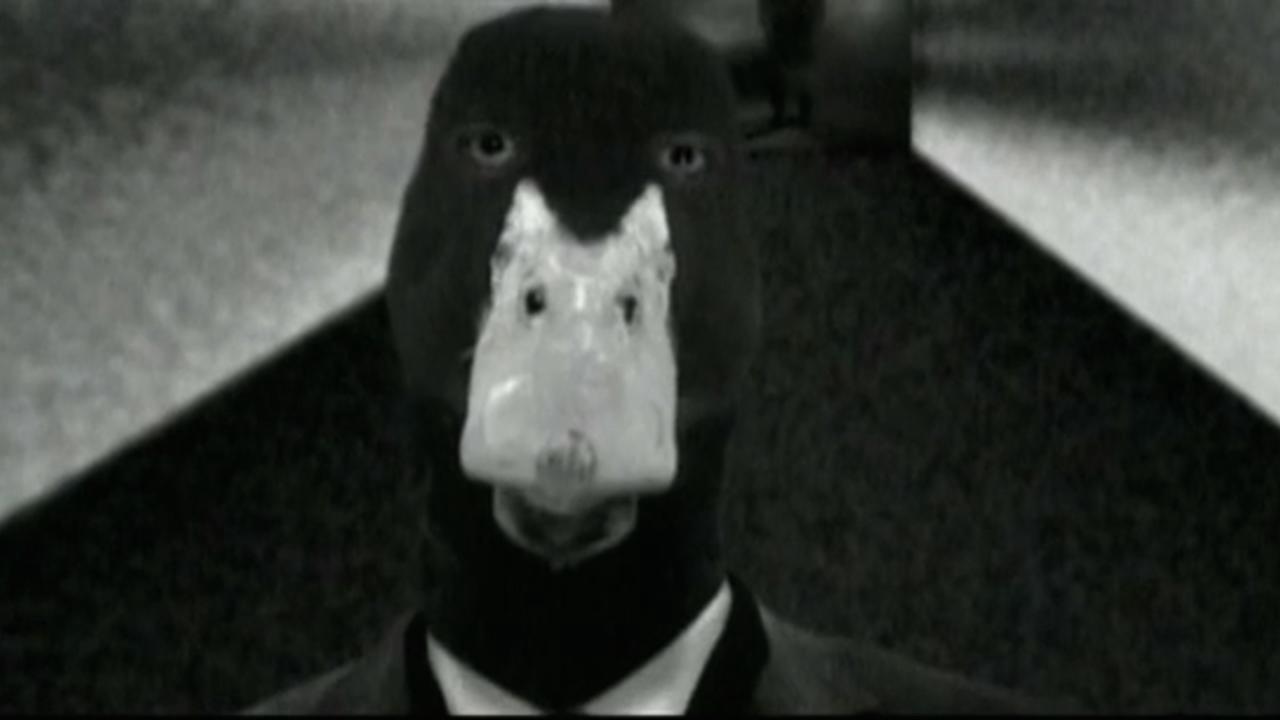 David Lynch