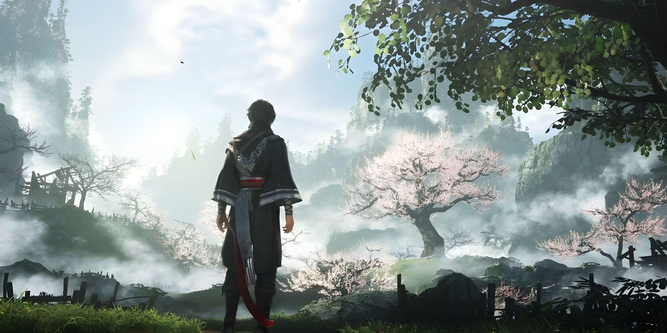 Dynasty Warriors 25