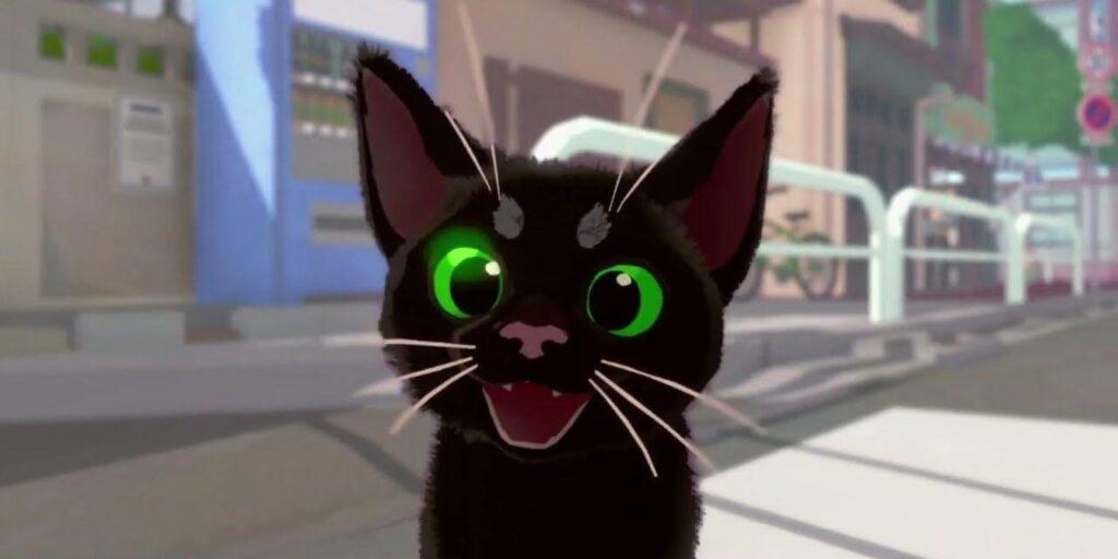 Little Kitty