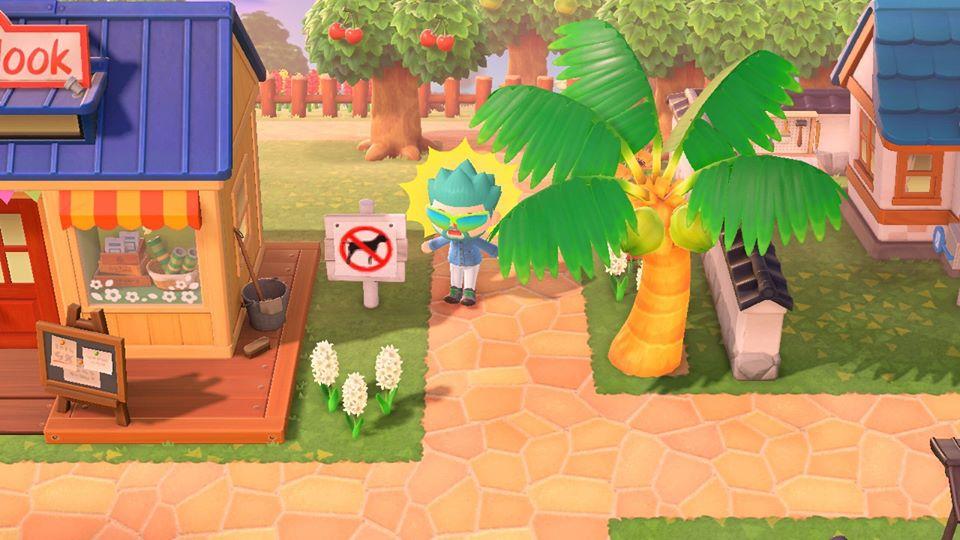 île Animal Crossing