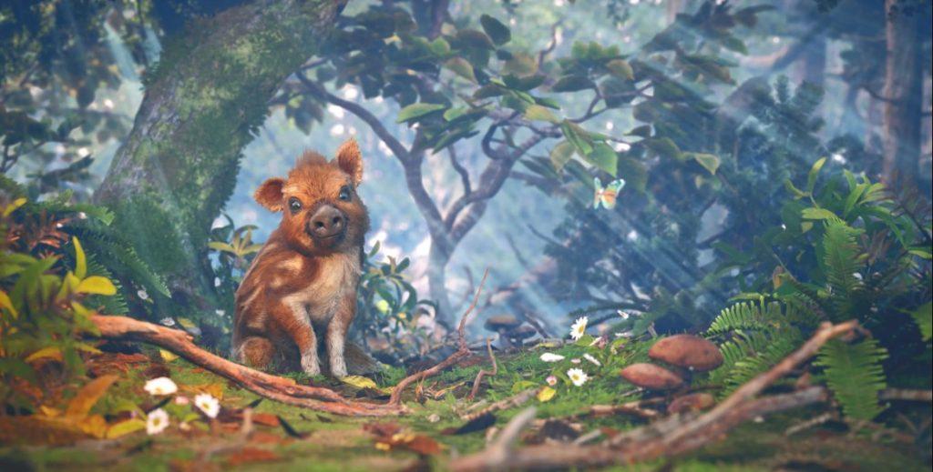 Adorable Adventures